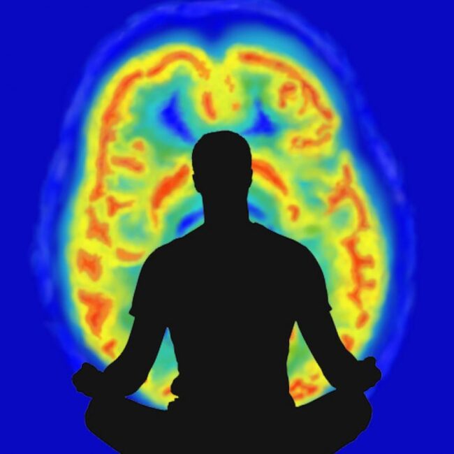 Meditation and science