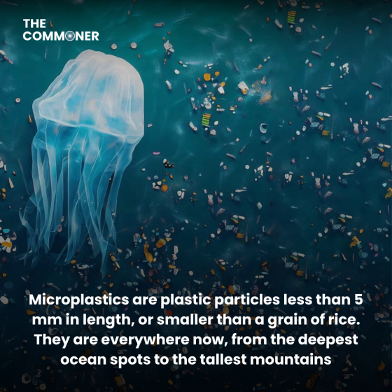 Microplastics Fix for Global Warming or Risky Gamble (1)