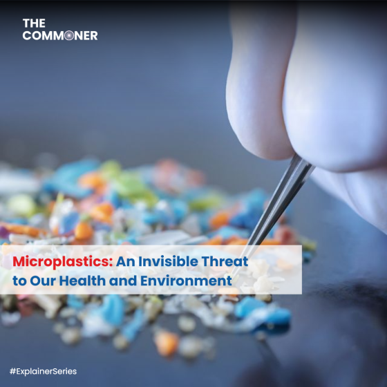 Microplastics Fix for Global Warming or Risky Gamble